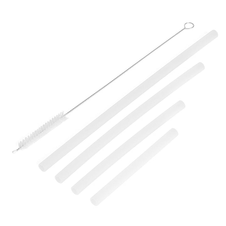 Companion Straw 4-Pack